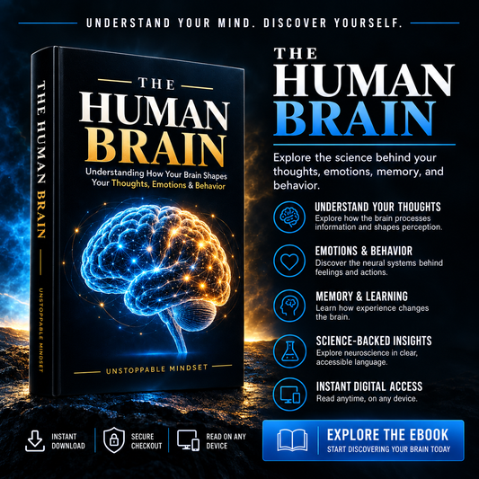 The Human Brain